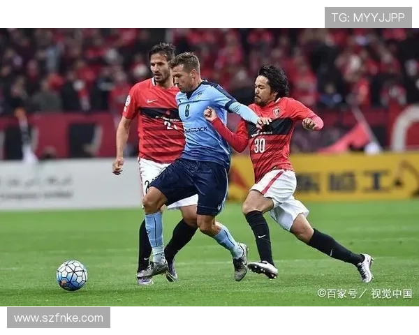 秘鲁队阵容分析：近期表现稳健，攻防结构持续优化