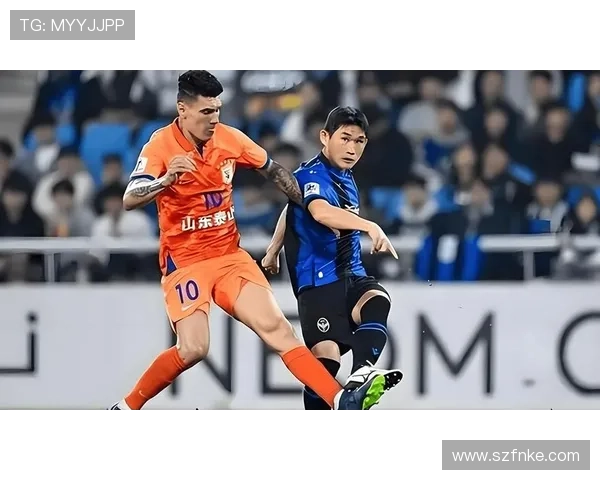 琼阿梅尼 vs 费尔南迪尼奥：防守经验与实战表现对比分析